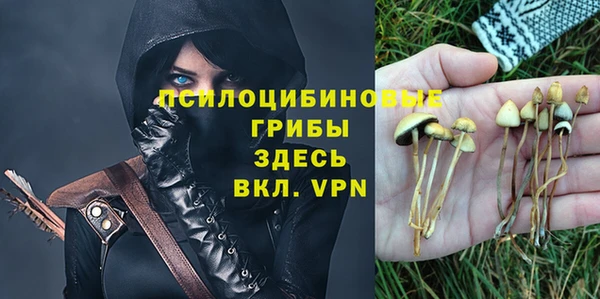 мяу мяу мука Саяногорск