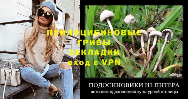ALPHA PVP Аркадак