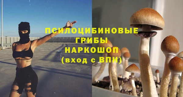 ALPHA PVP Аркадак